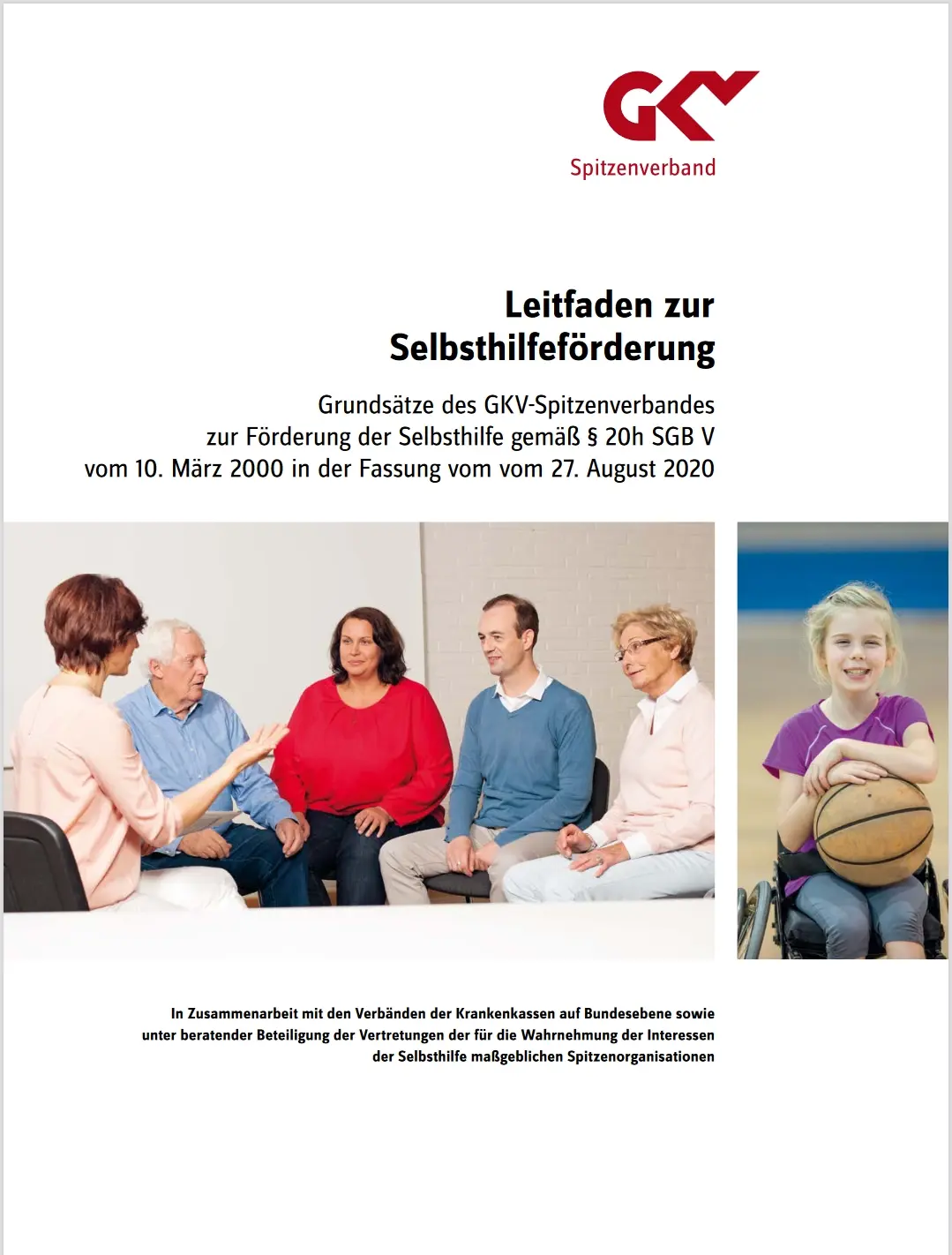 GKV Spitzenverband Grafik Leitfaden zur Selbsthilfeförderung