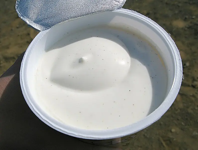 Was ist Skyr? Was ist Skyr?