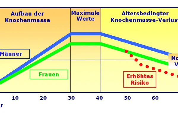 Knochendichte und Osteoporose