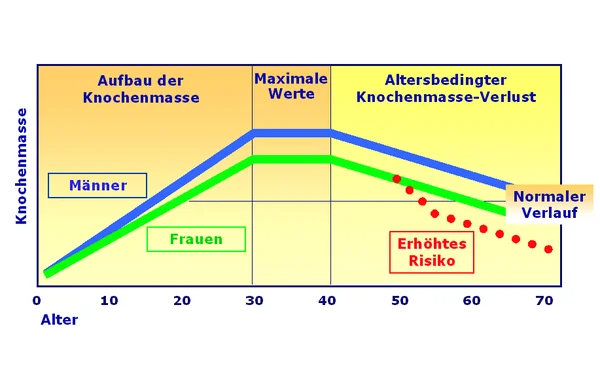 Knochendichte