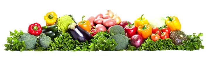 Ernährung bei Osteoporose und Osteopenie