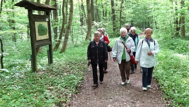 Osteoporose SHG Mühlhausen 201