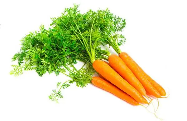 Vitamine