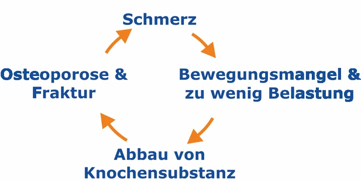 Schmerzkreis Schmerzkreis - Schonung - Verspannung