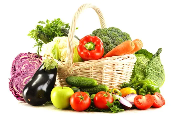 Ernährung bei Osteoporose