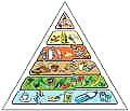 Ernährungspyramide - Lebensmittelpyramide